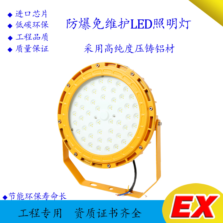 BZD158-101防爆免維護(hù)LED照明燈