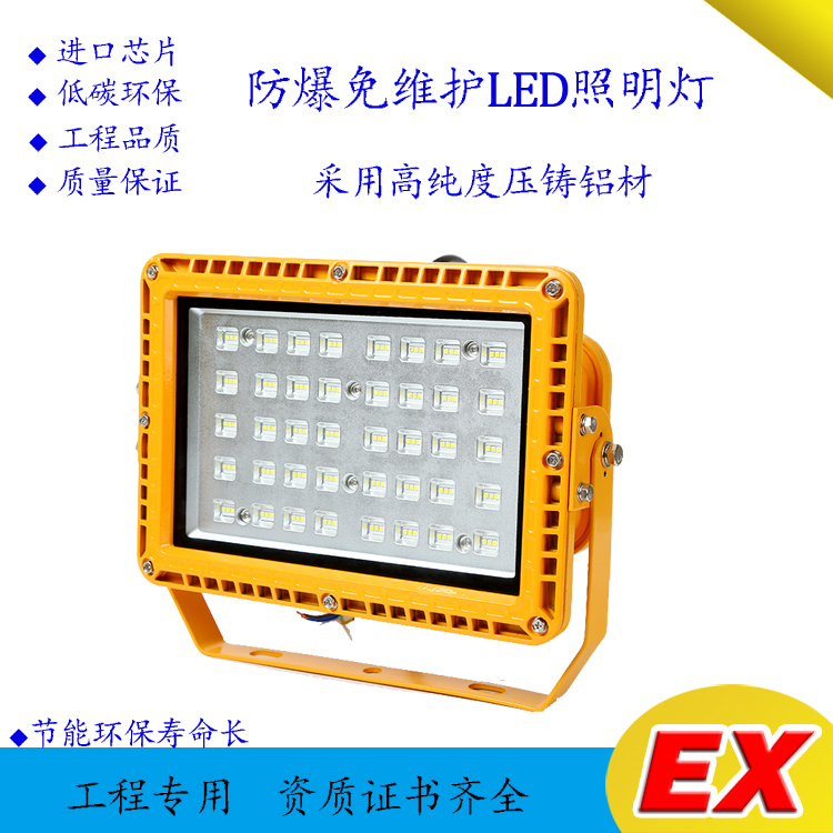 BZD168-01防爆免維護(hù)LED泛光燈